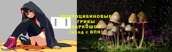 шишки Михайловка