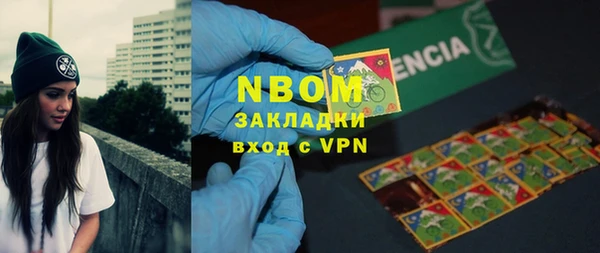 прущие грибы Арсеньев