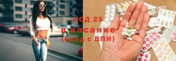 прущие грибы Арсеньев