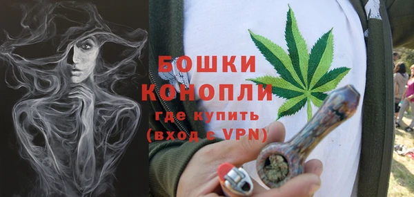 шишки Михайловка