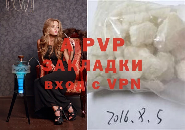 прущие грибы Арсеньев