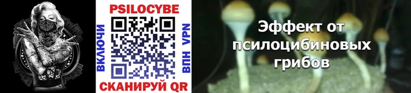 Псилоцибиновые грибы MAGIC MUSHROOMS  Купить закладки  Вельск 